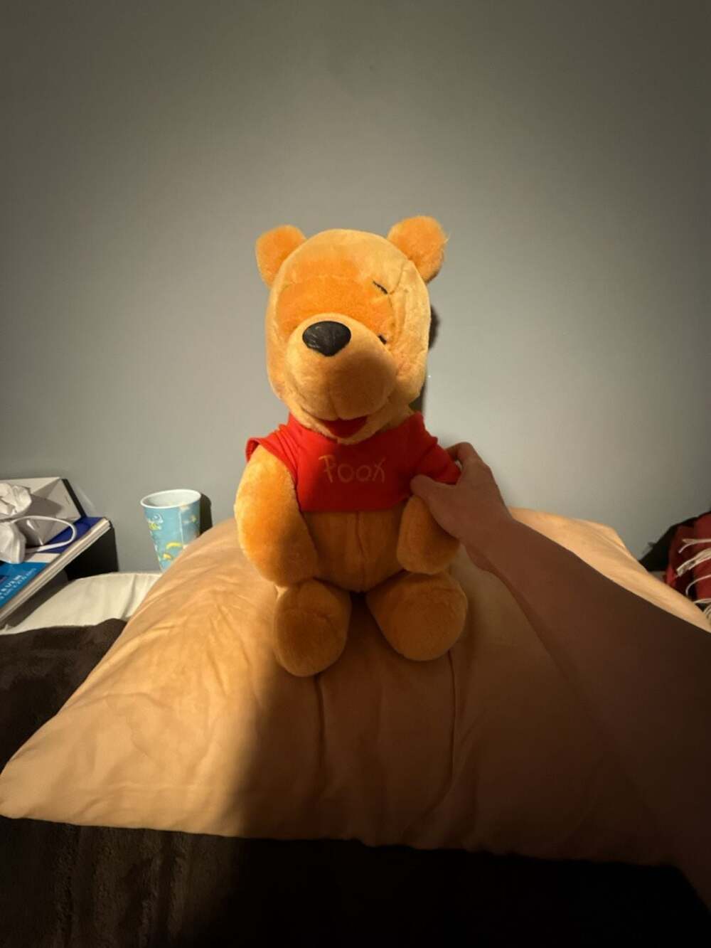 Disney Winnie the Pooh Plush Stuffed Animal Red Shirt